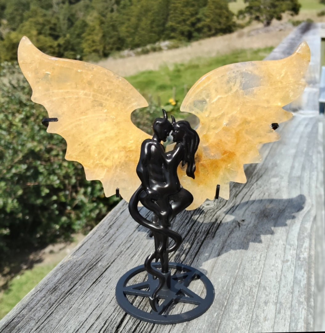 Golden Healer Devil/Angel Wings
