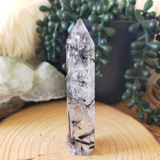 Black Tourmaline in Quartz Point