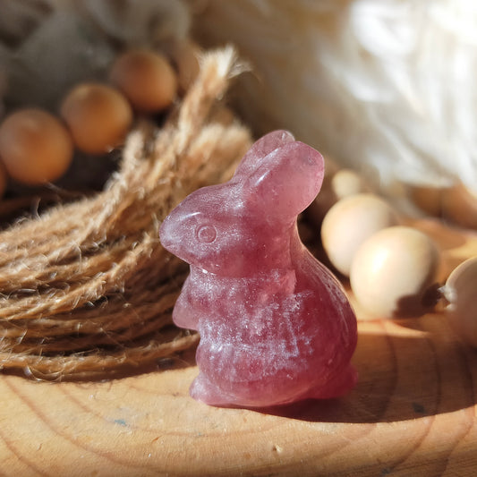 Rabbit Carvings