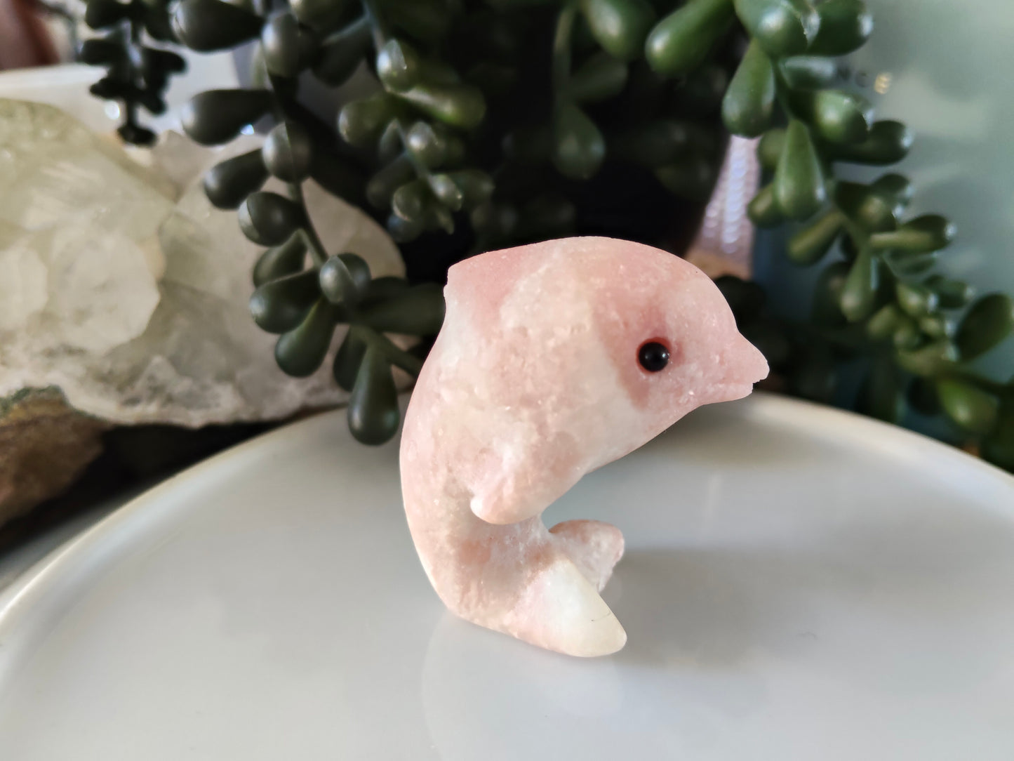 Dolphin Carvings