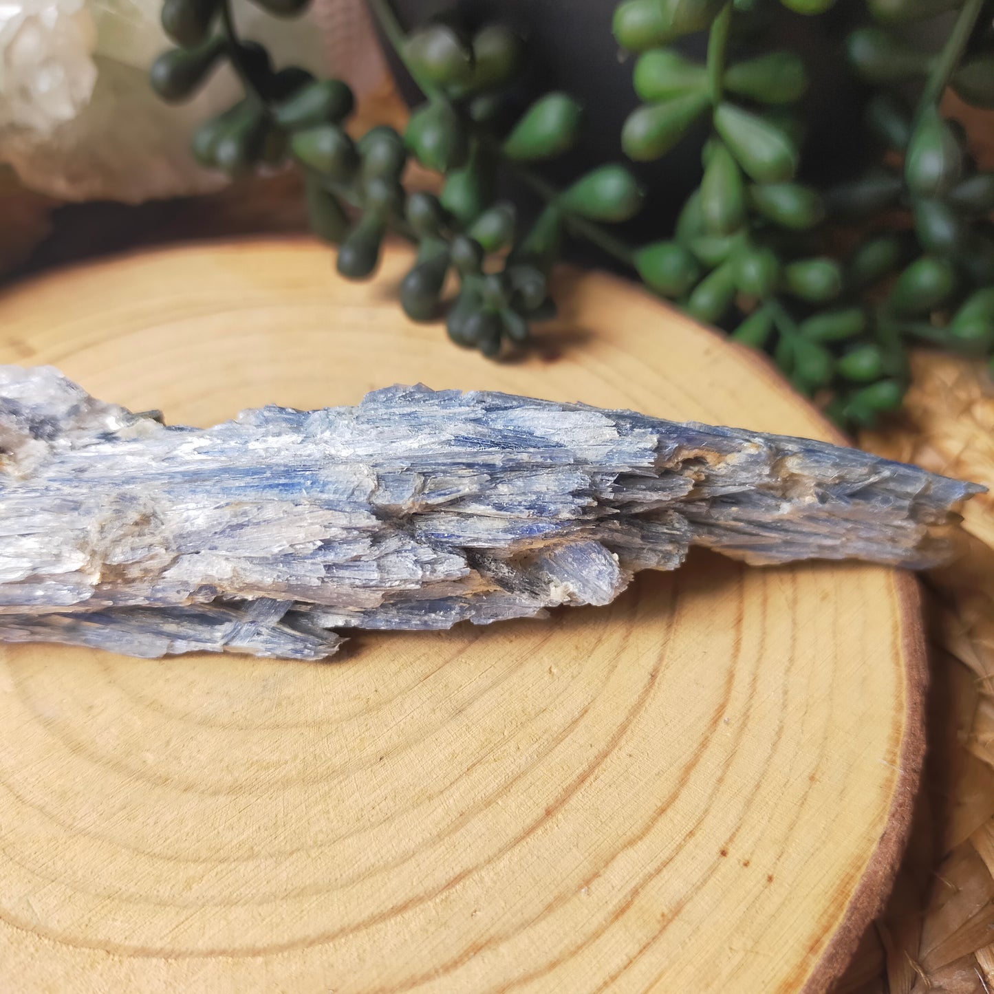Raw Blue Kyanite