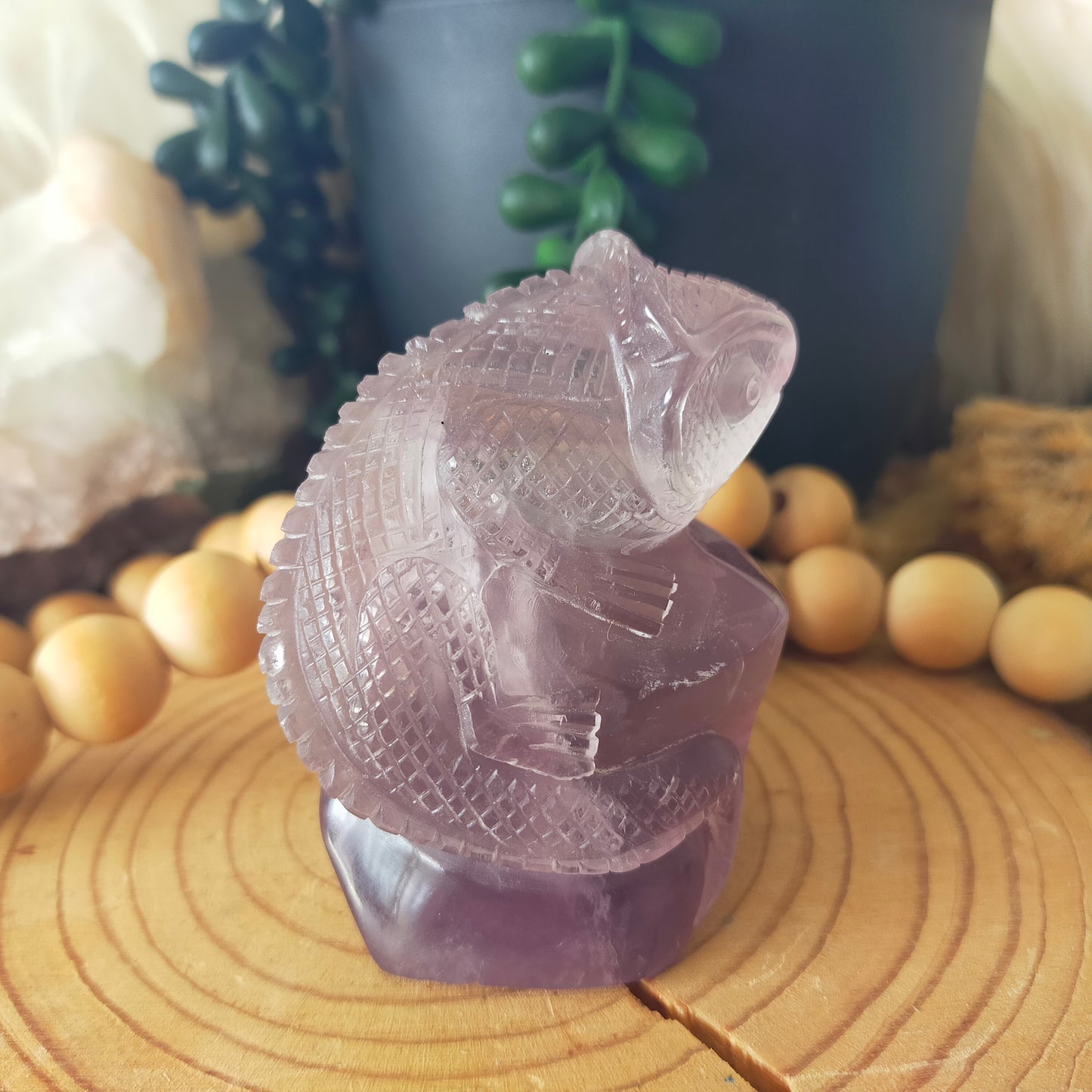 Fluorite Chameleon