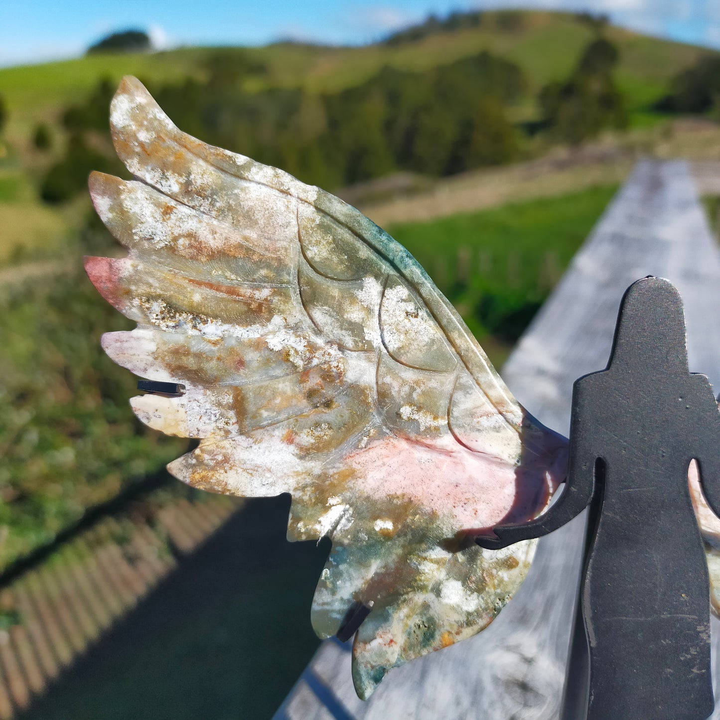 Ocean Jasper Wings