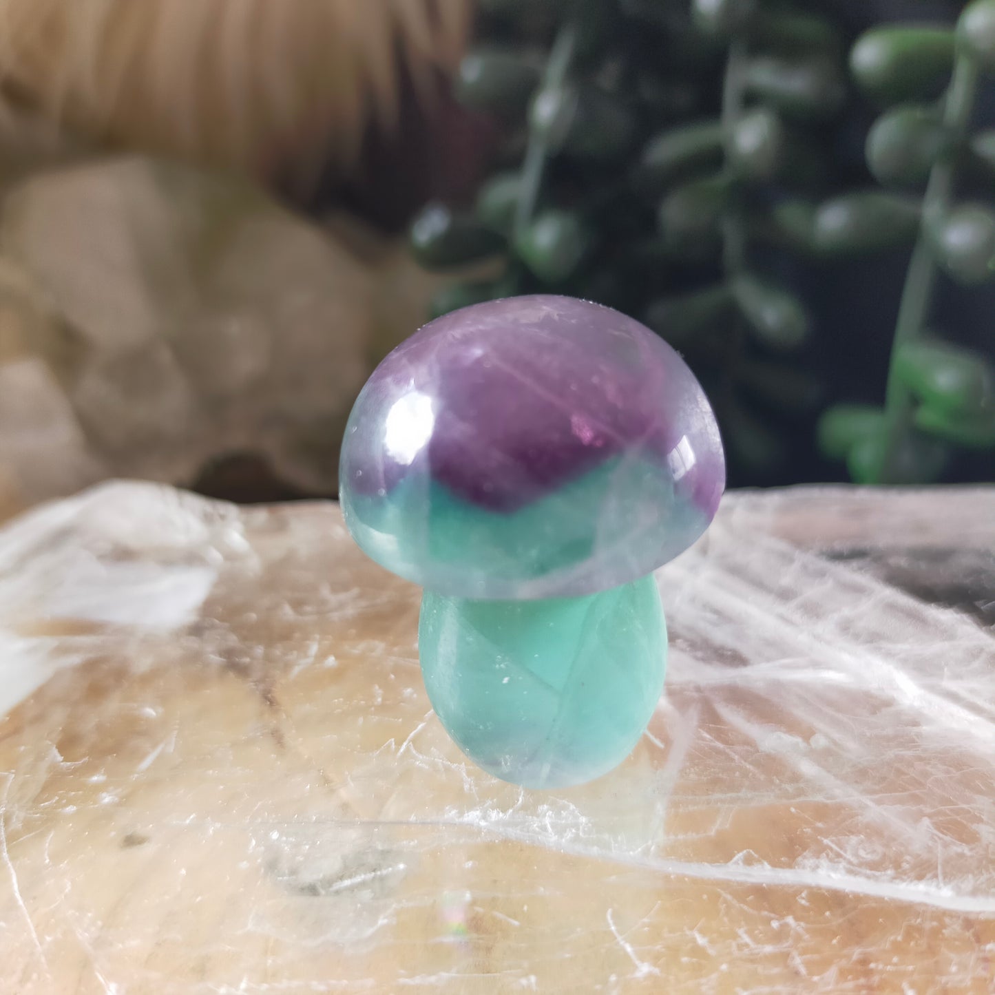 Fluorite Mushrooms