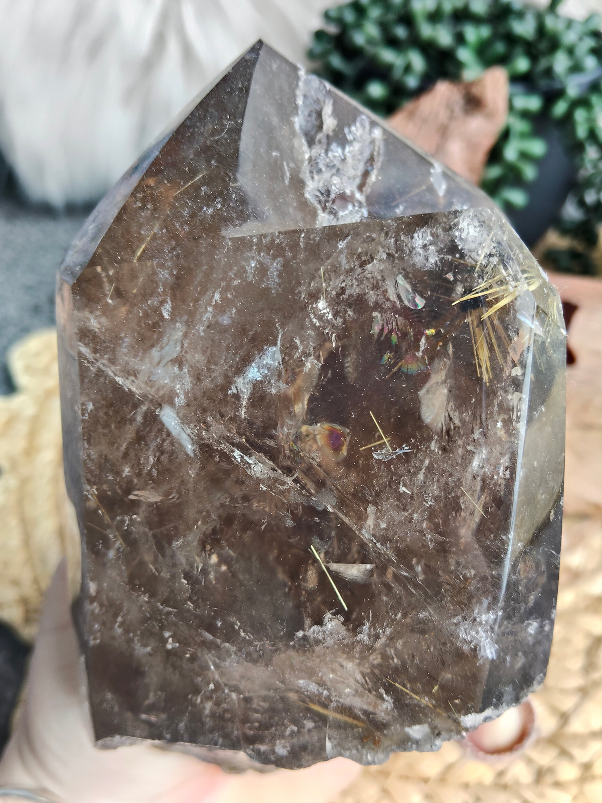 Large Rare Smokey Quartz with Golden Rutile