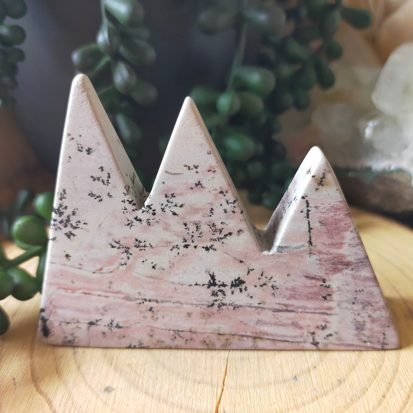 Pink Picture Jasper Mountains