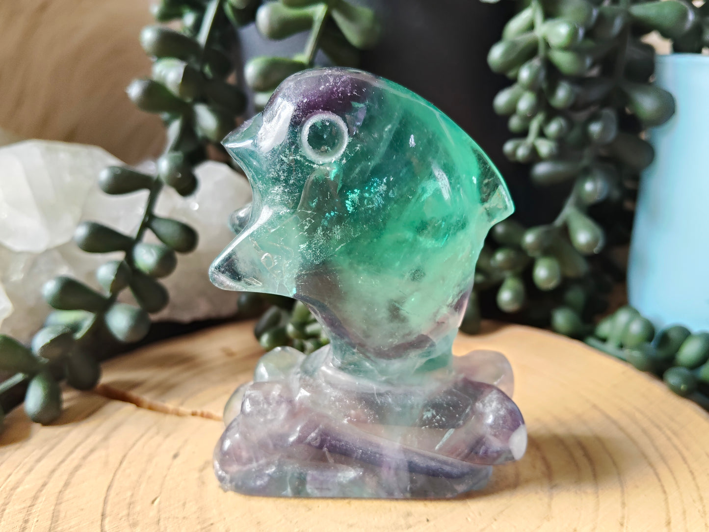 Fluorite Dolphin
