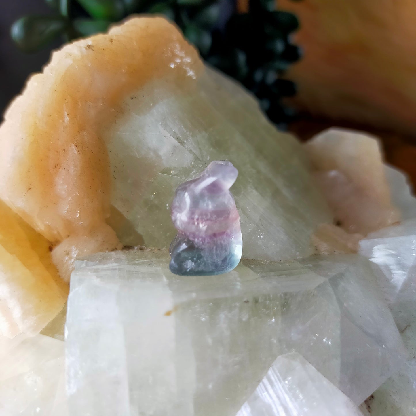 Mini Fluorite Carvings