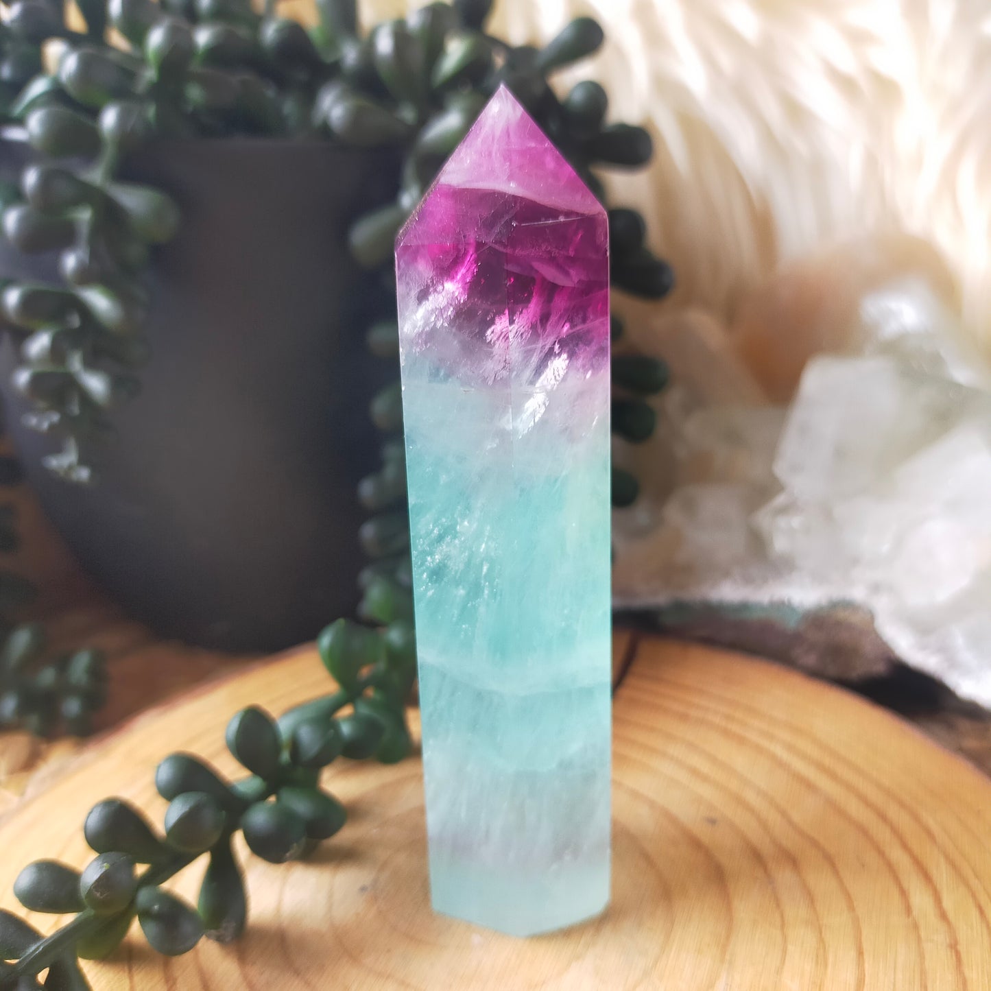 Watermelon Fluorite Points