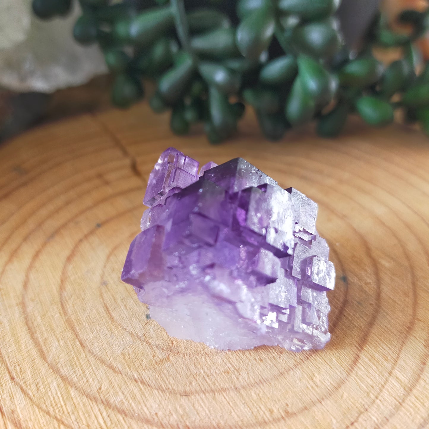 Fluorite Specimen