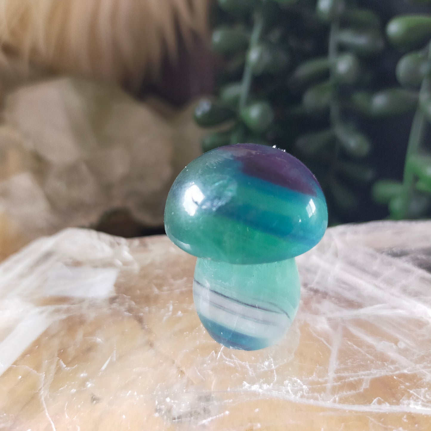 Fluorite Mushrooms