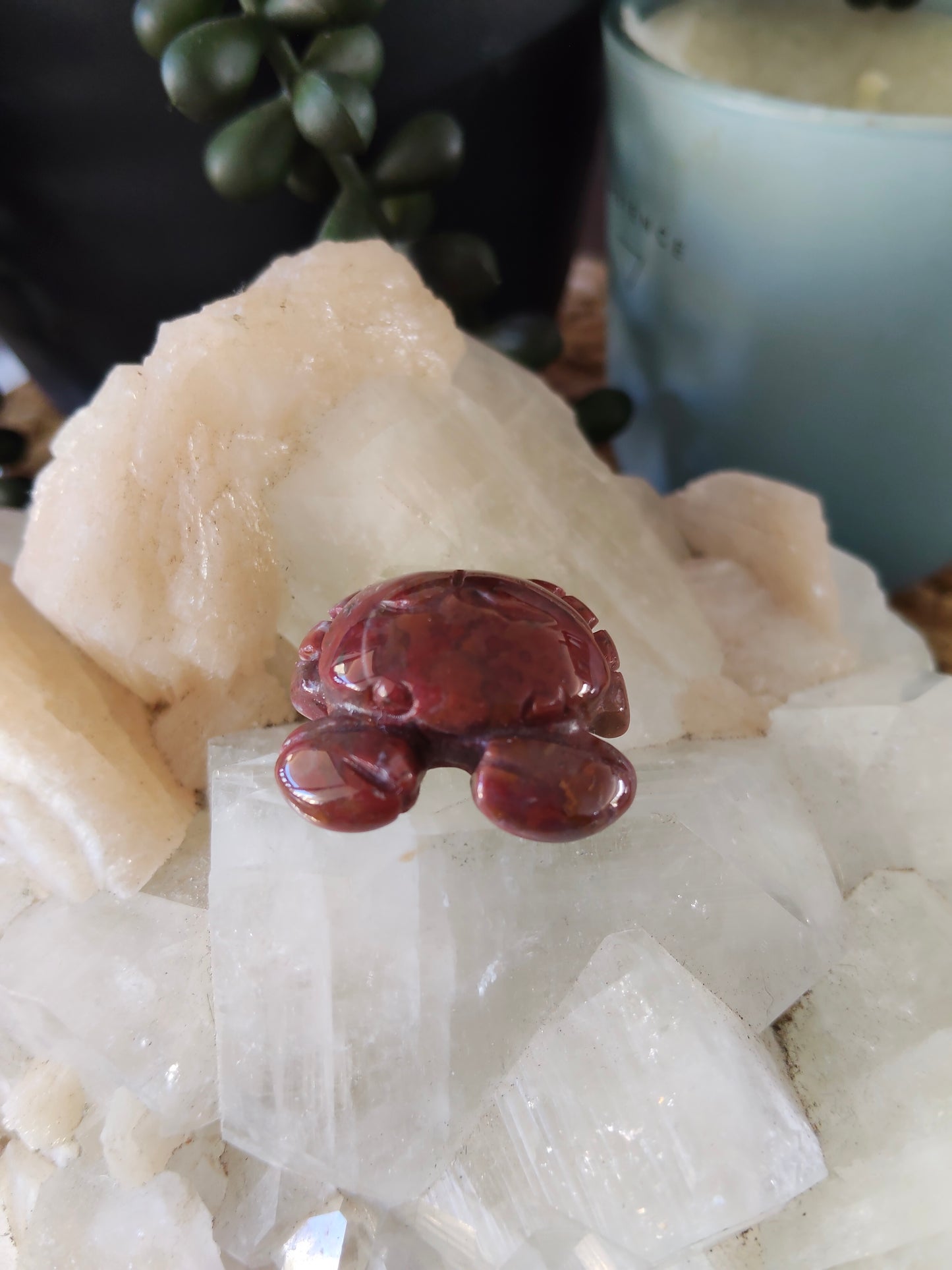 Small Crabs