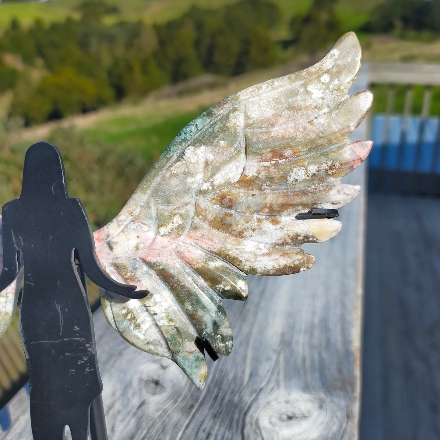 Ocean Jasper Wings