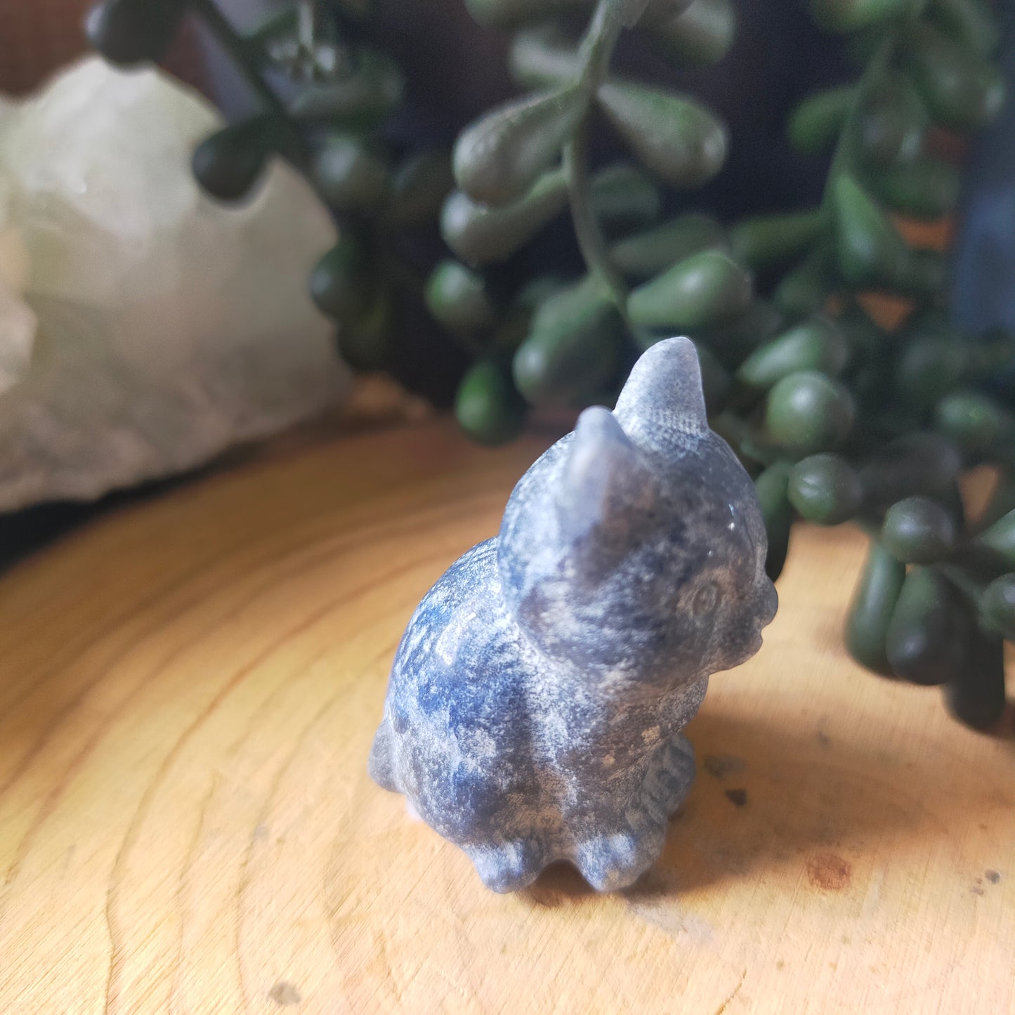 Blue Adventurine Cat