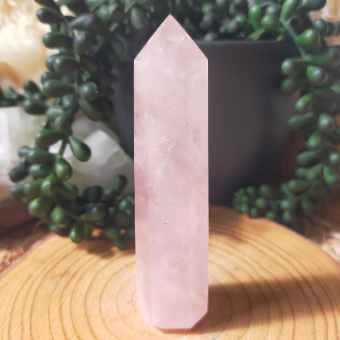 Rose Quartz Points