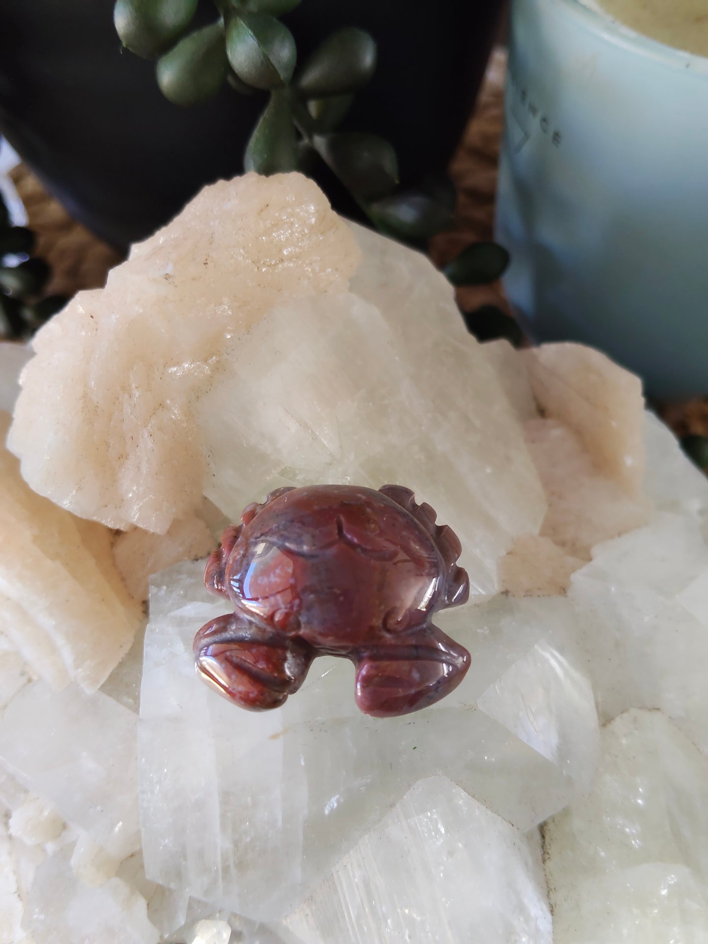 Small Crabs
