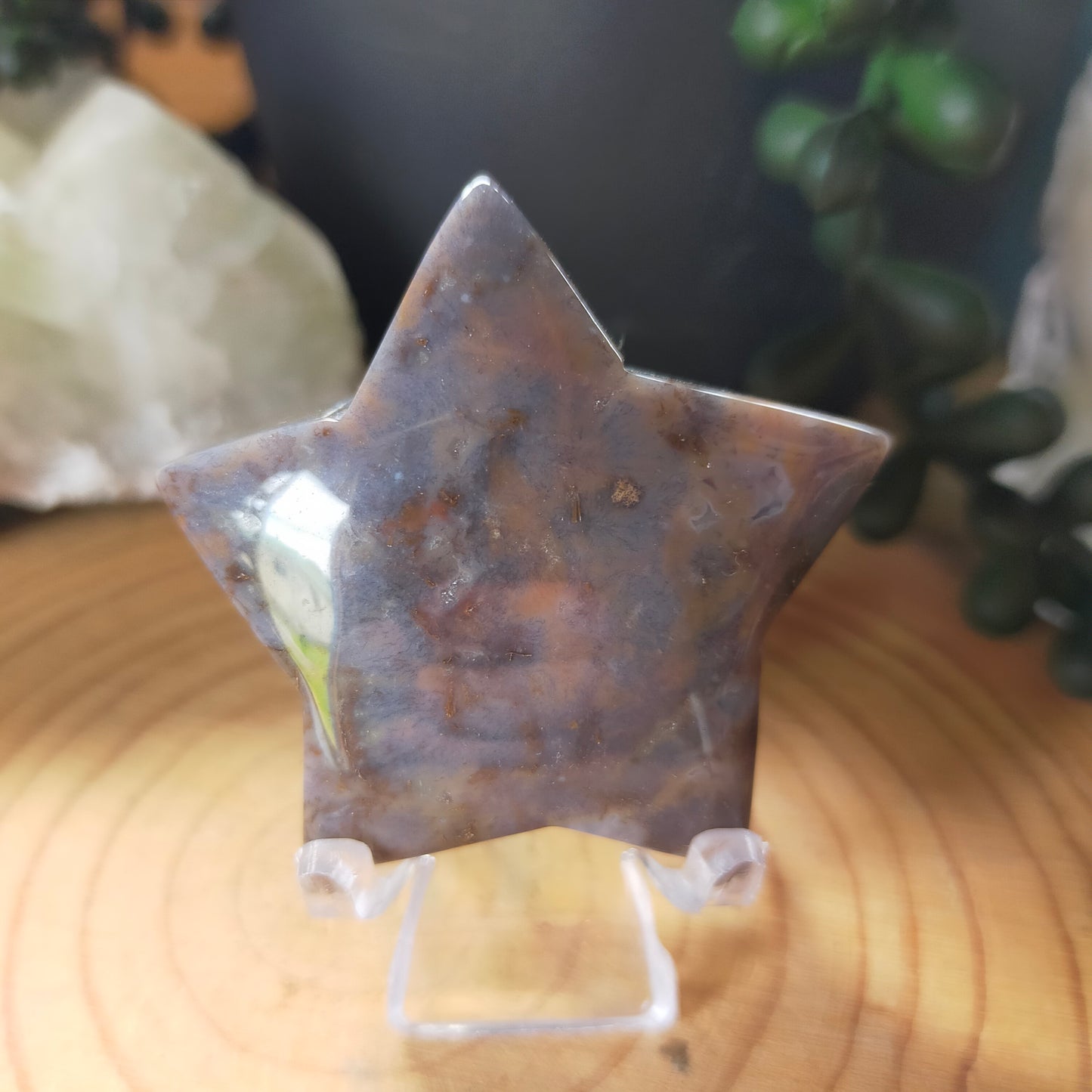 Ocean Jasper Star