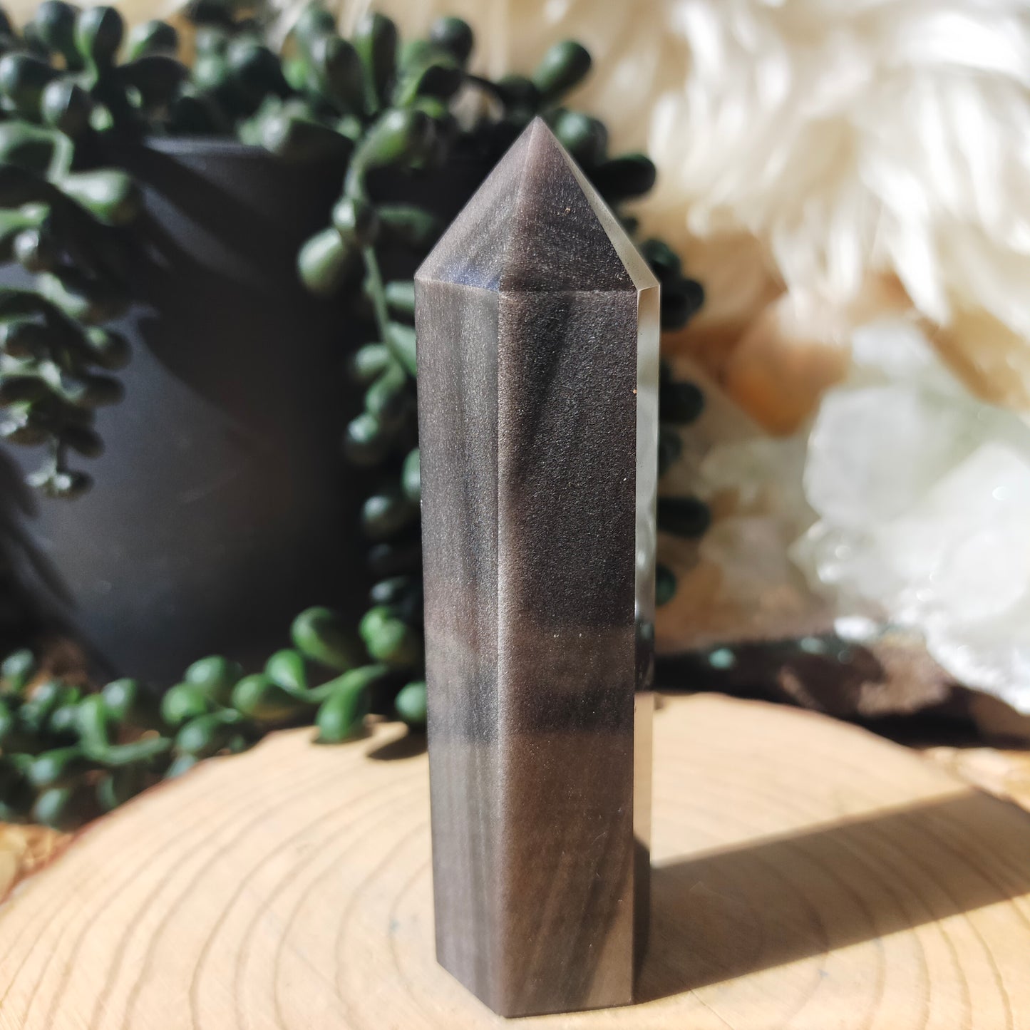 Silver Sheen Obsidian Points