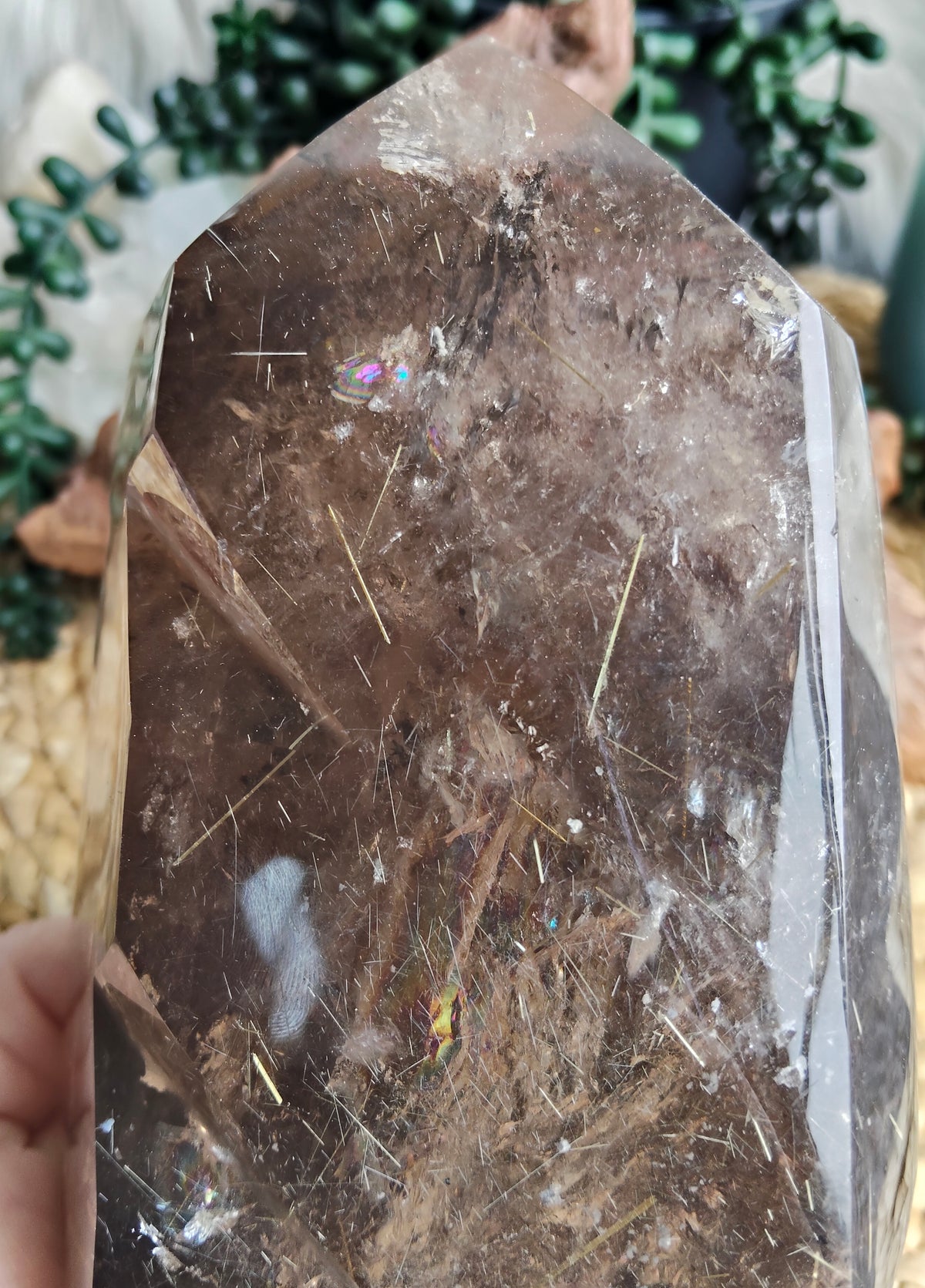 Large Rare Smokey Quartz with Golden Rutile