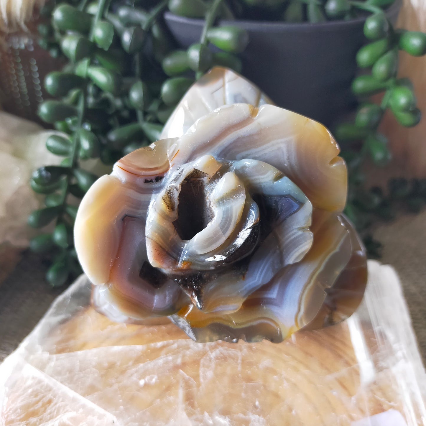 Volcano Agate Flowers