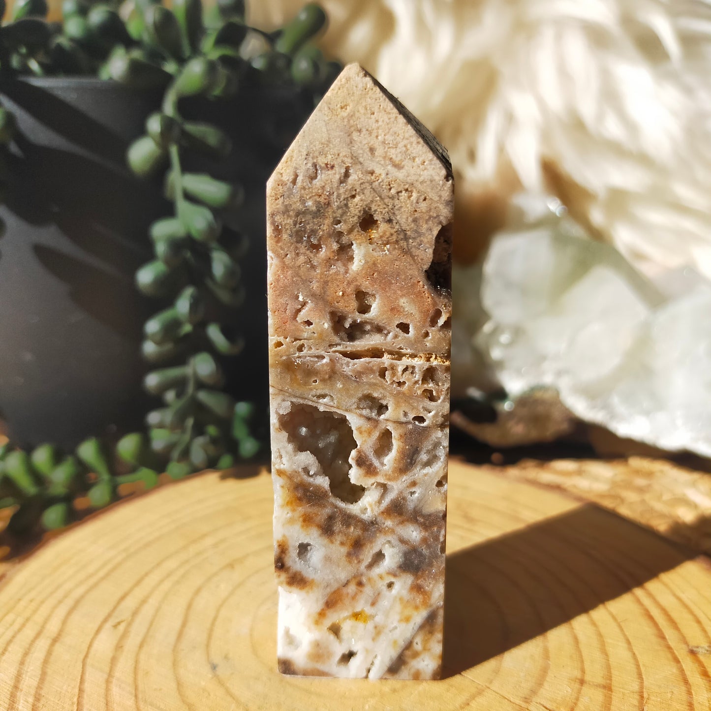 Brecciated Jasper Point