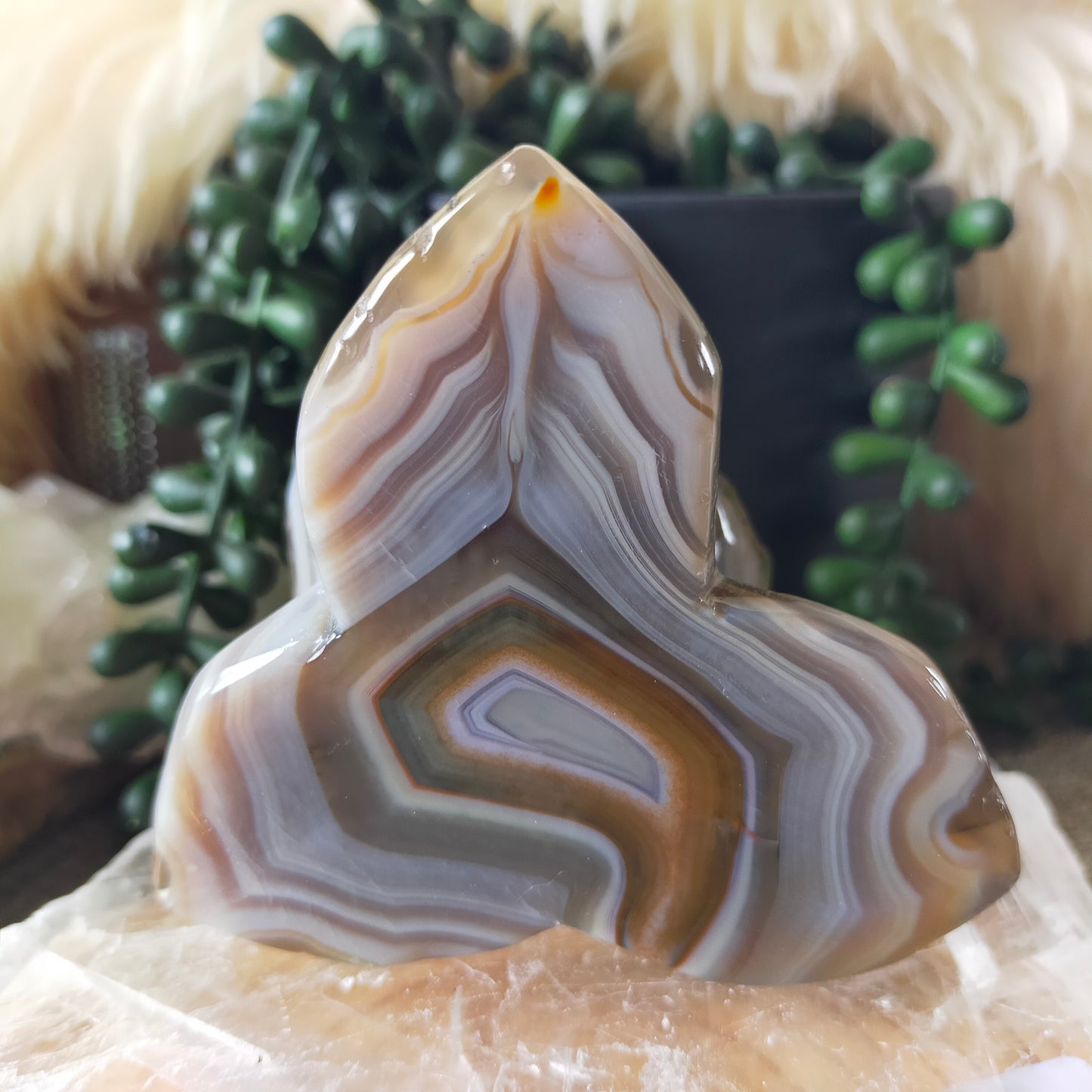 Volcano Agate Flowers