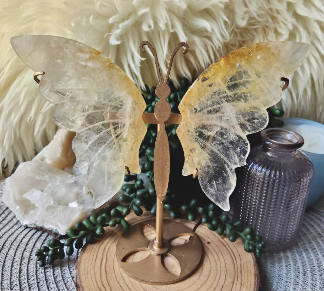 Golden Healer Butterfly