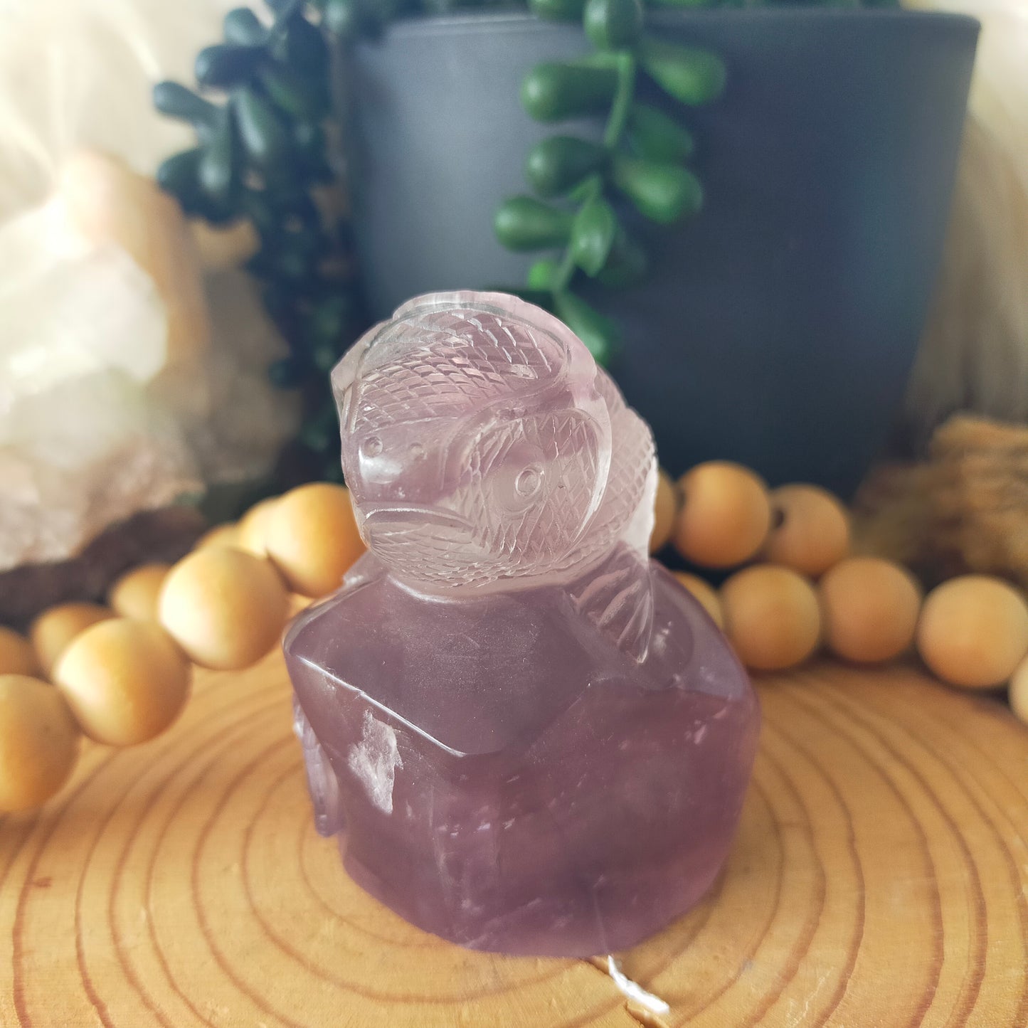 Fluorite Chameleon