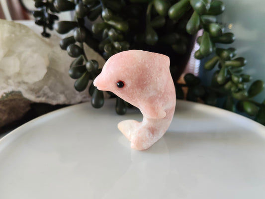 Dolphin Carvings