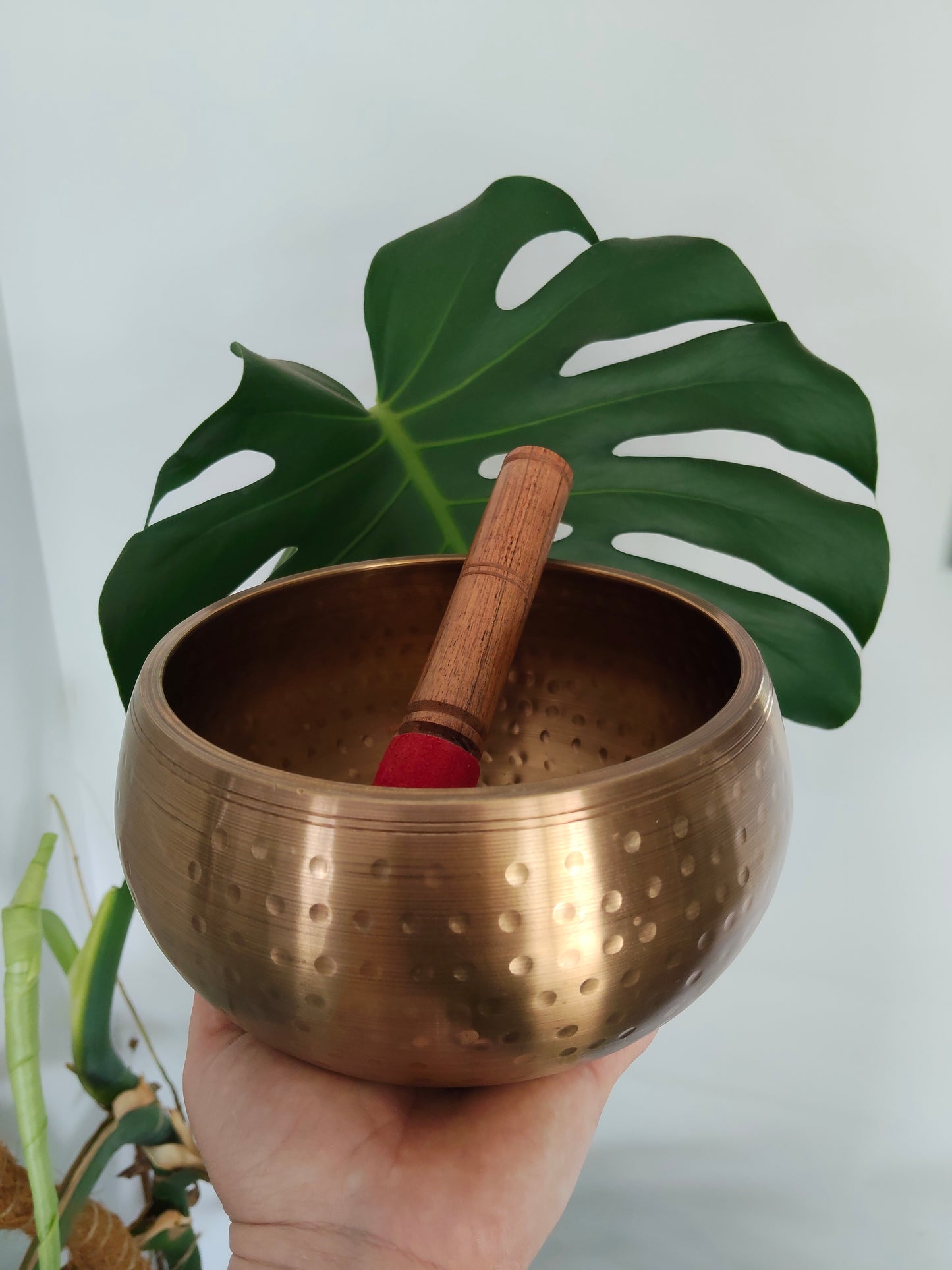 Hand Hammered Brass Singing Bowl Large