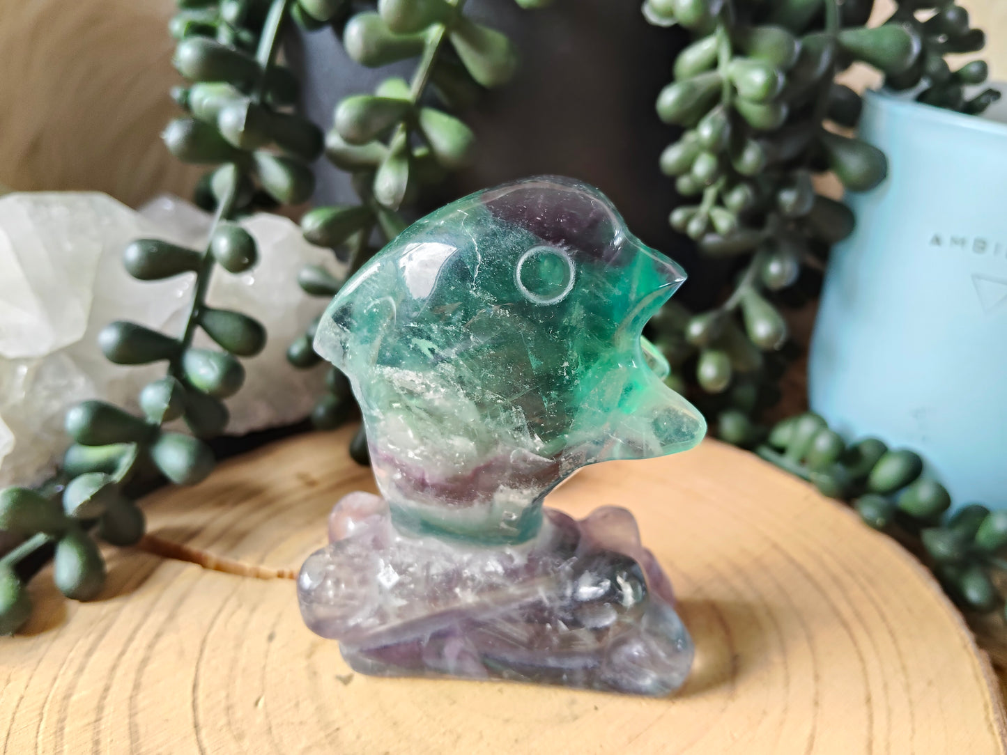 Fluorite Dolphin