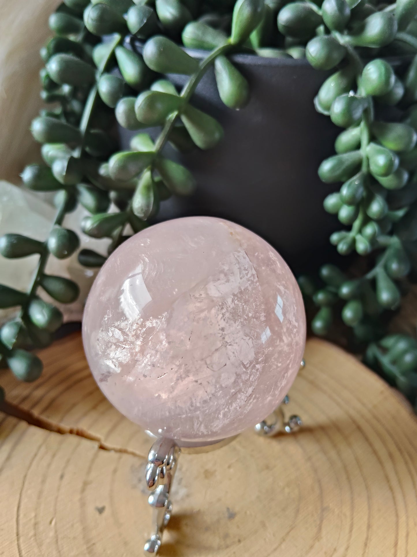 Asterism Rose Quartz Spheres