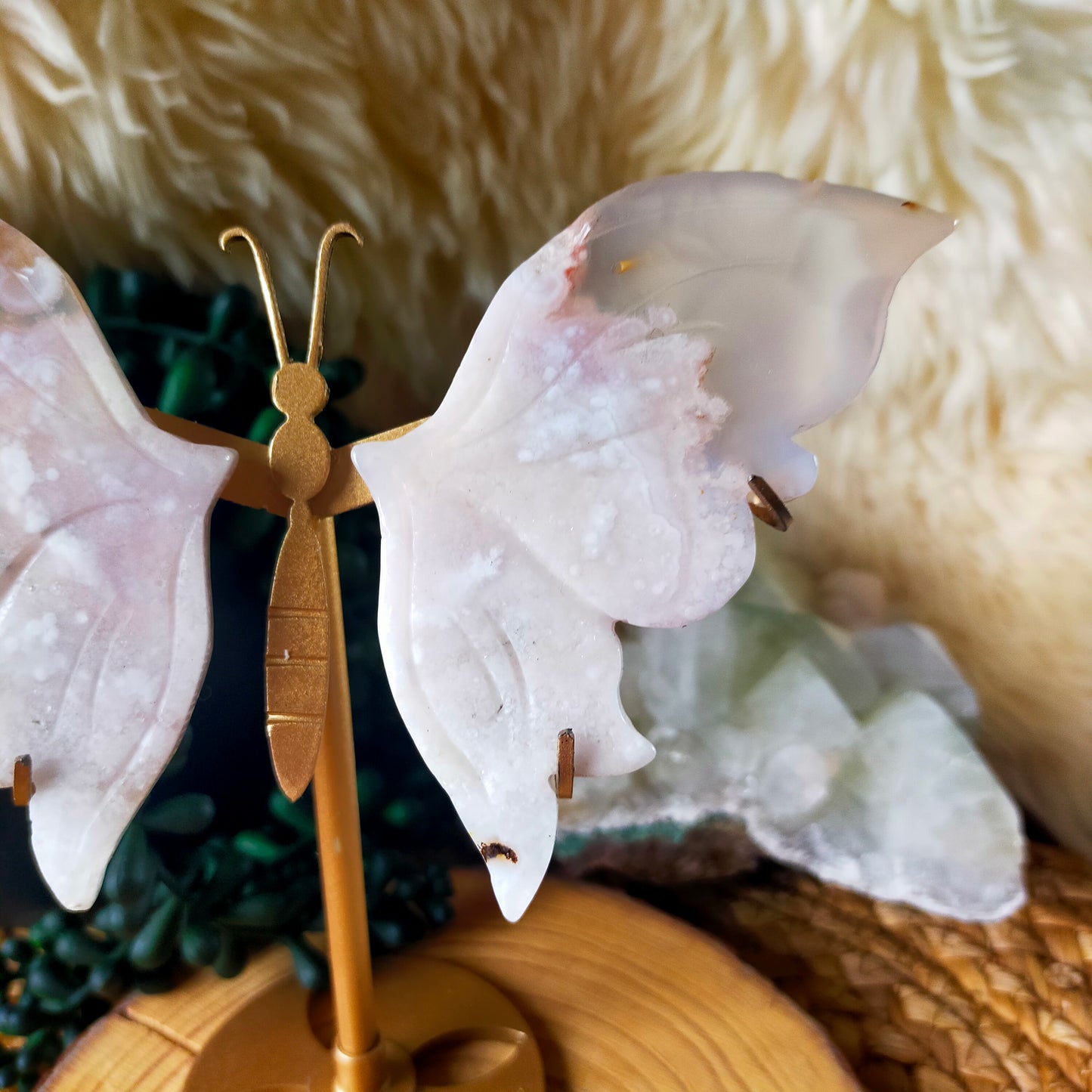 Flower Agate Butterfly Wings