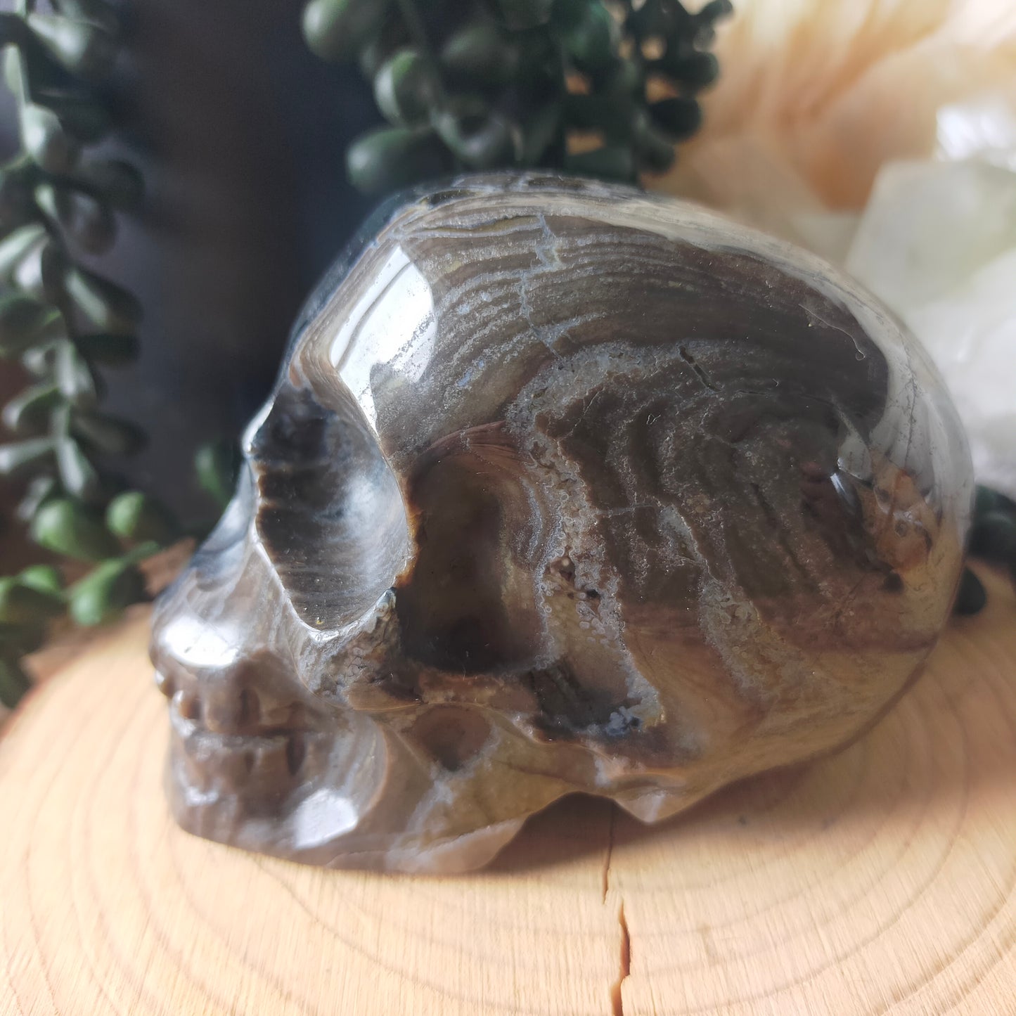 Volcano Agate Skull