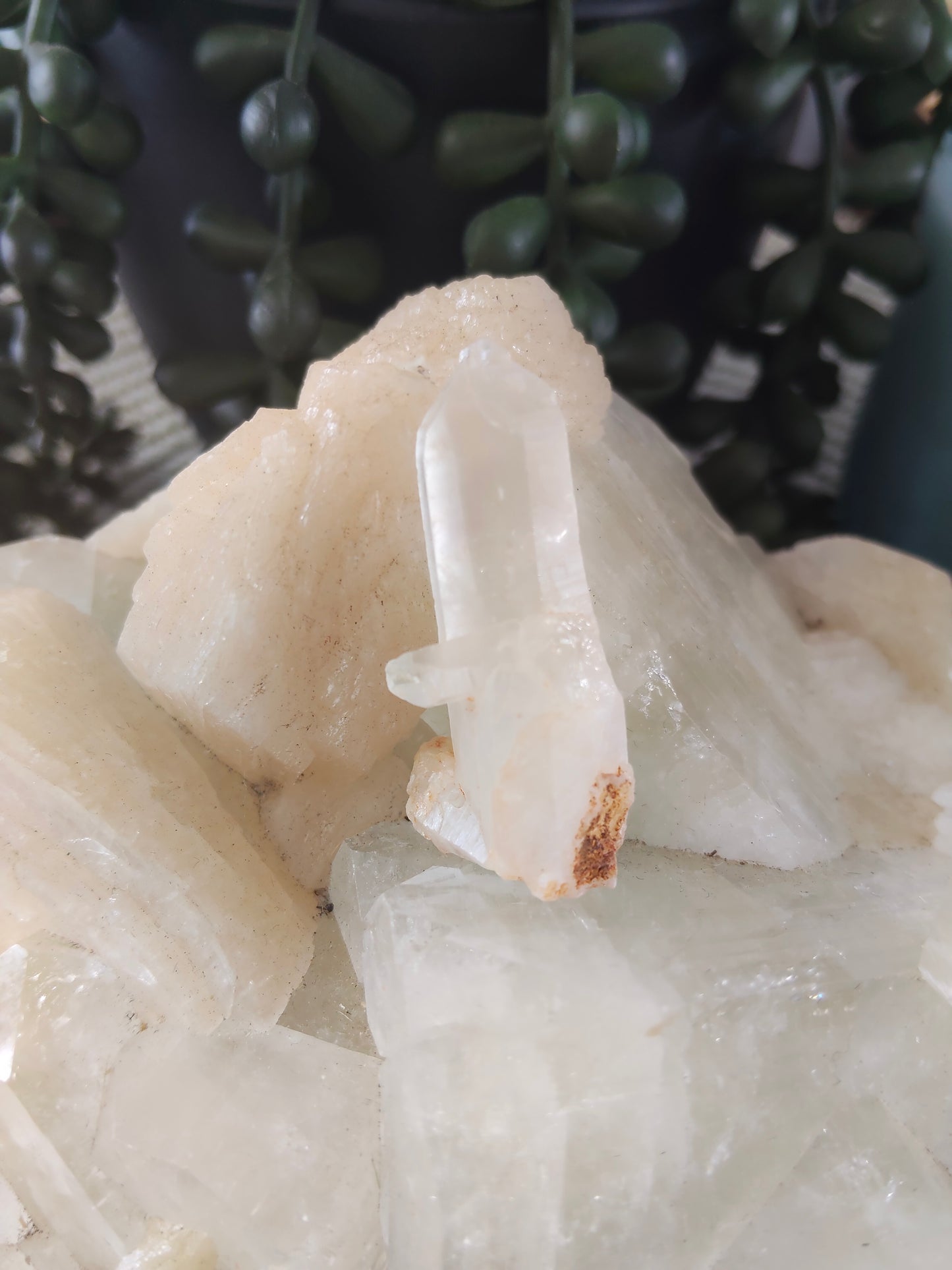 Petroleum Quartz
