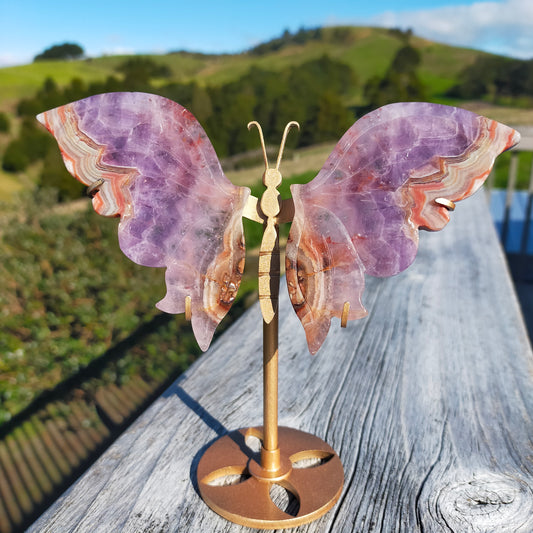 Amethyst Agate Butterfly Wings