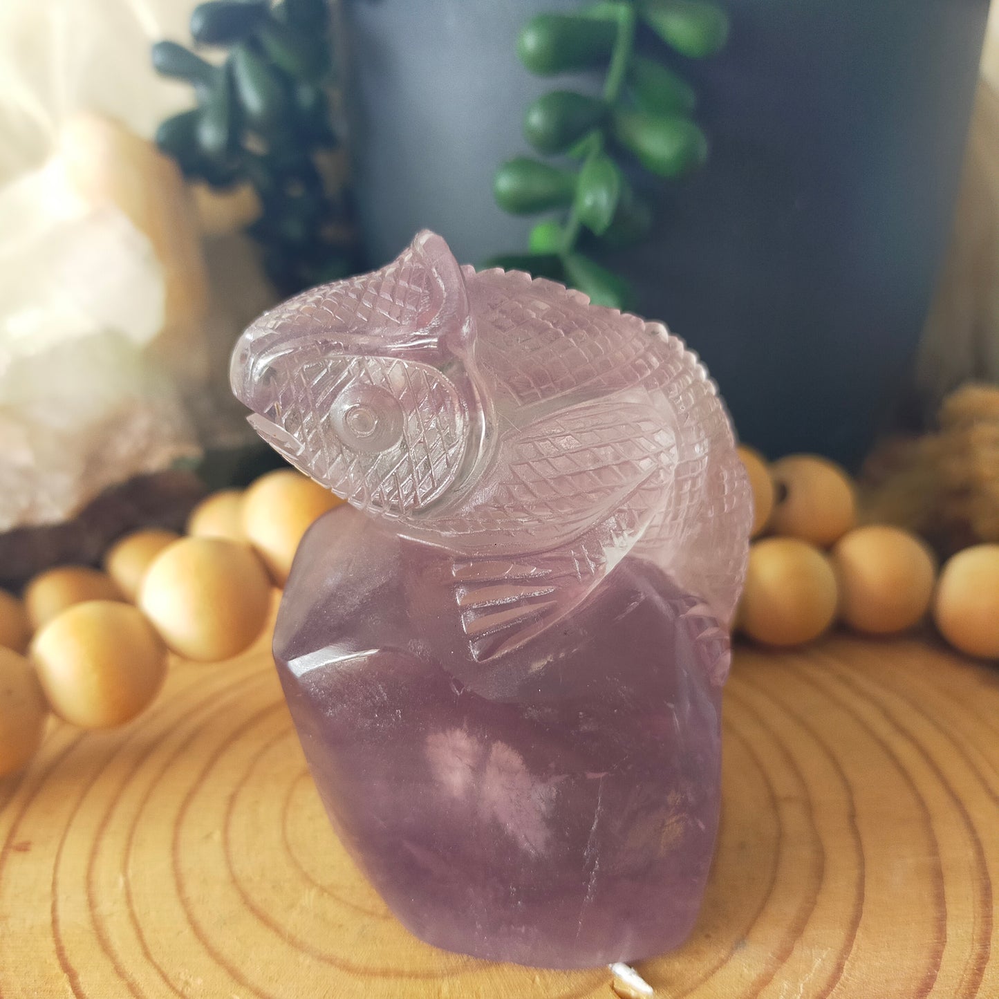 Fluorite Chameleon