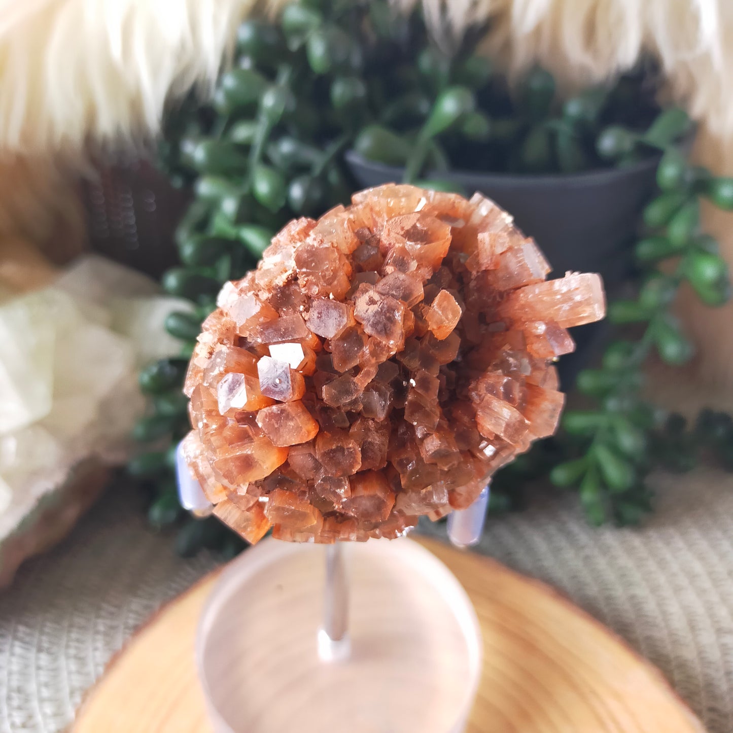 Sputnik Aragonite