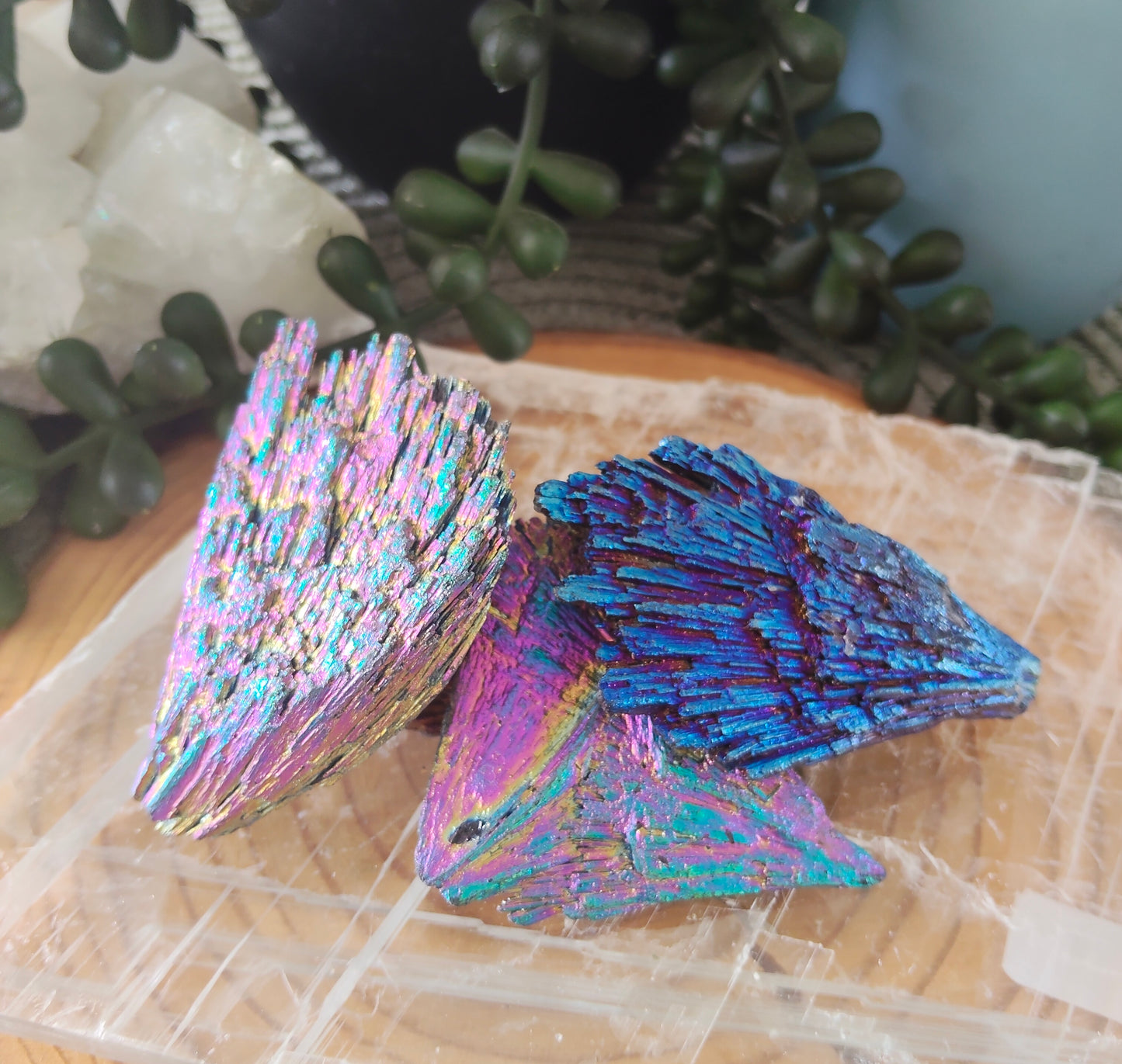 Small Aura Kyanite Pieces