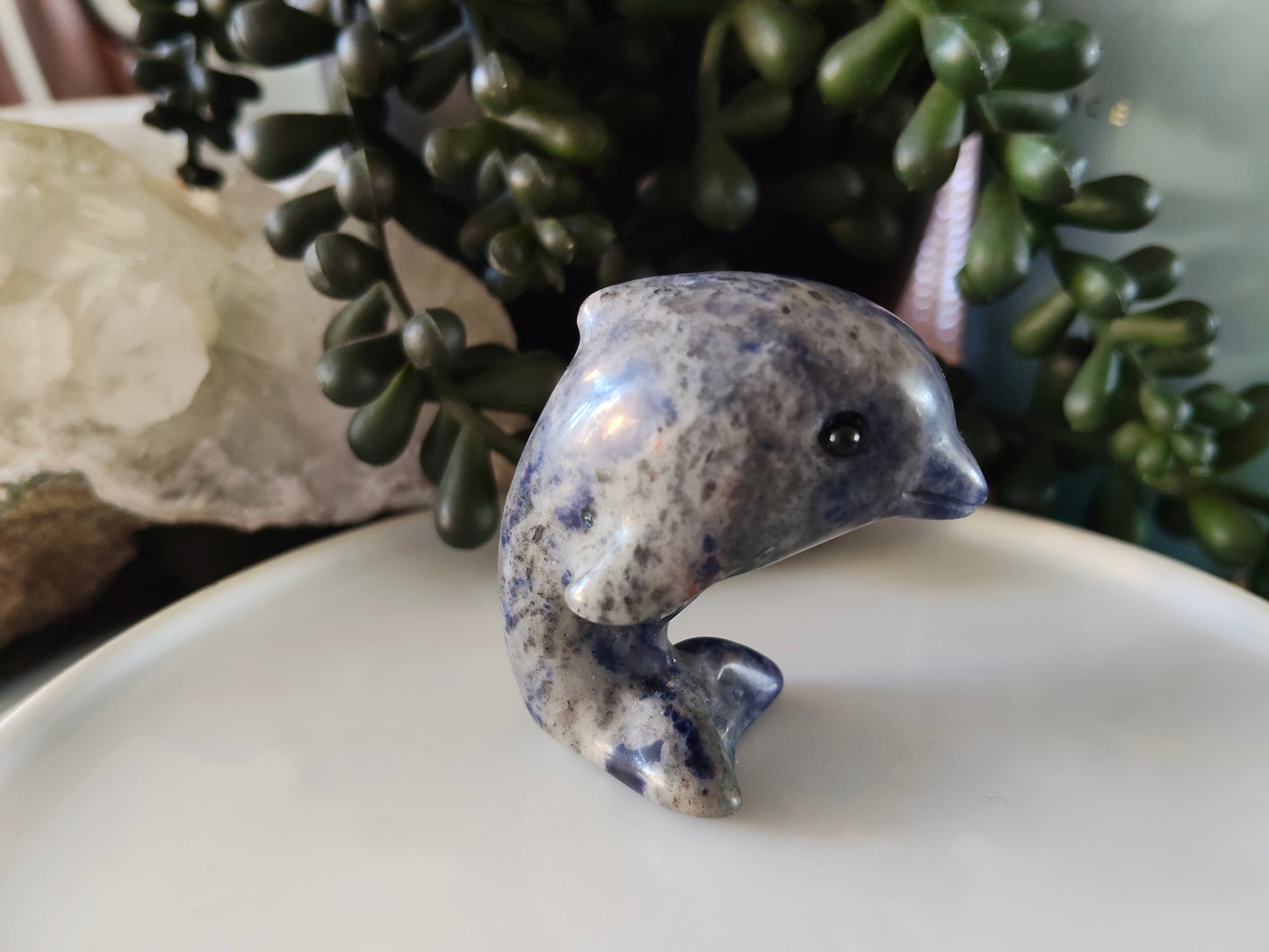 Dolphin Carvings