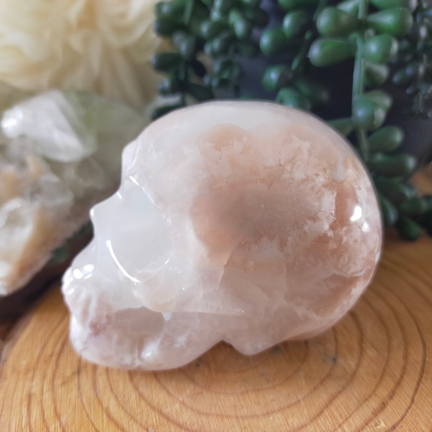 Flower Agate Skull