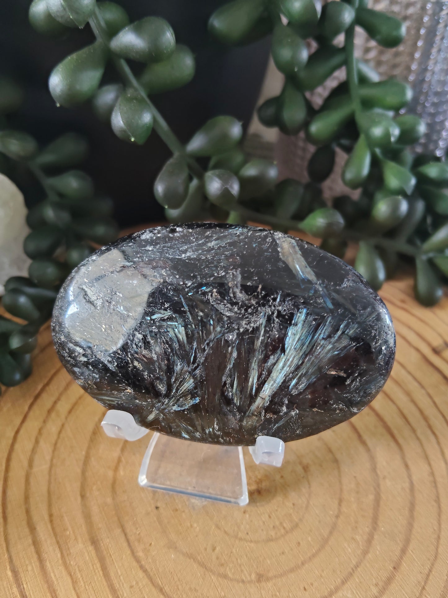 Arfvedsonite and Garnet Palmstones