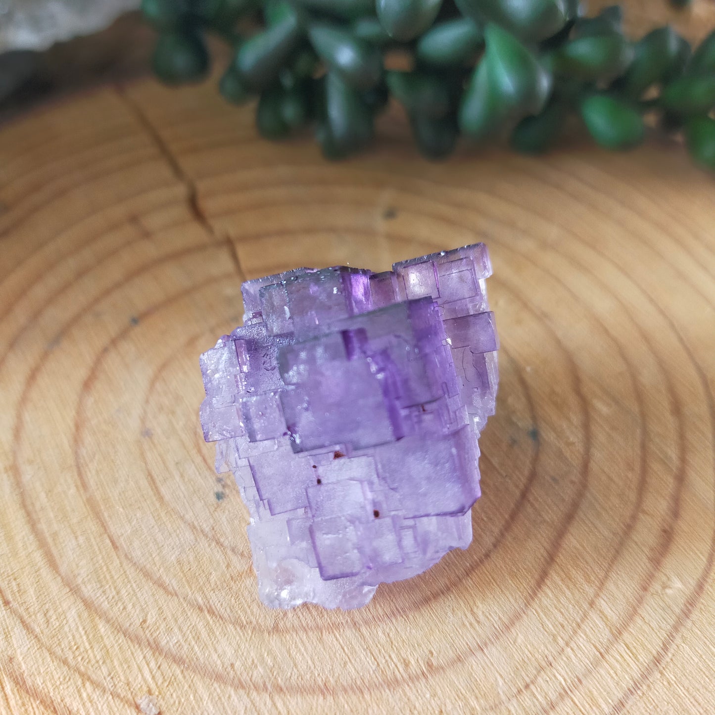 Fluorite Specimen