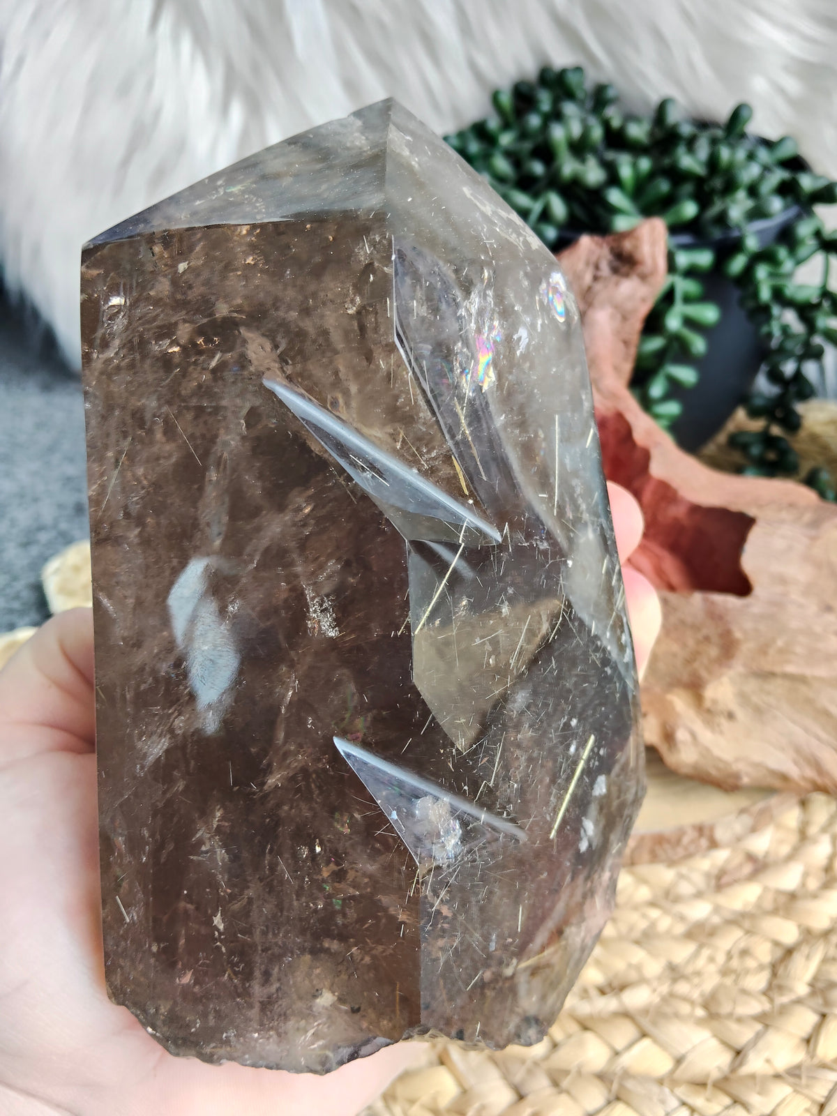 Large Rare Smokey Quartz with Golden Rutile