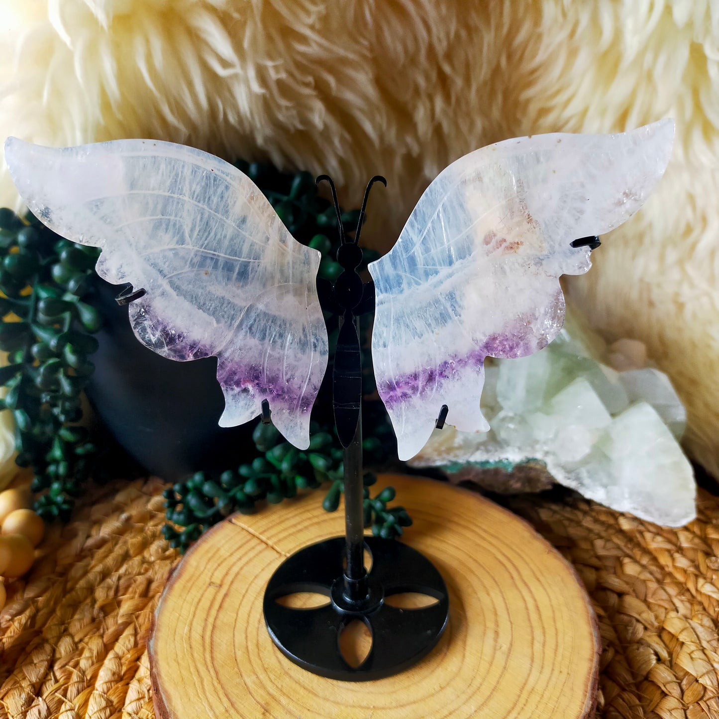 Quartz/Amethyst Butterfly Wings