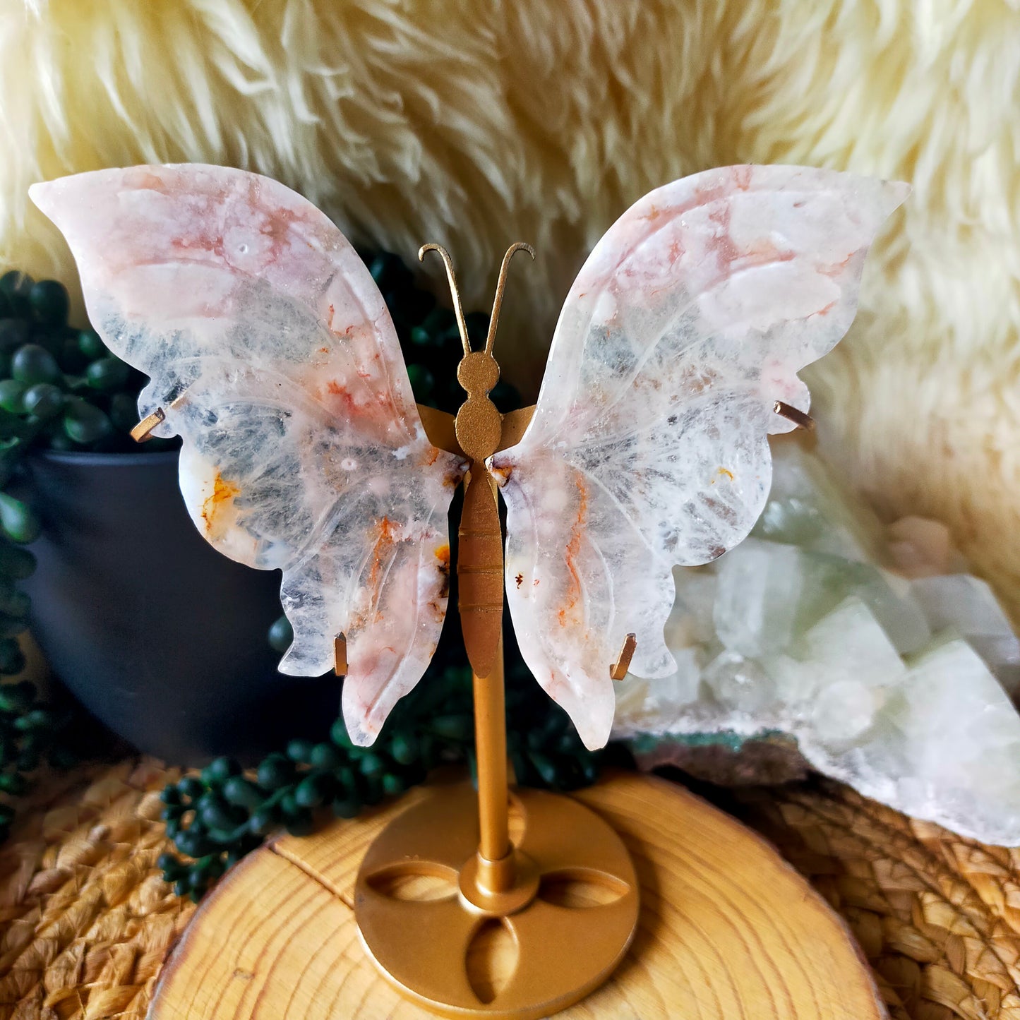 Flower Agate Butterfly Wings