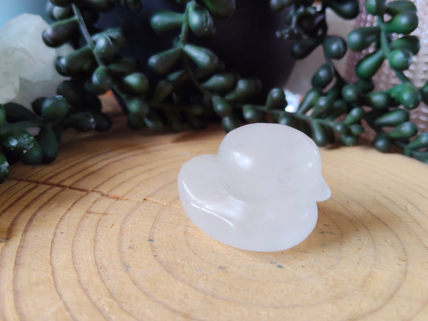 Crystal Ducks
