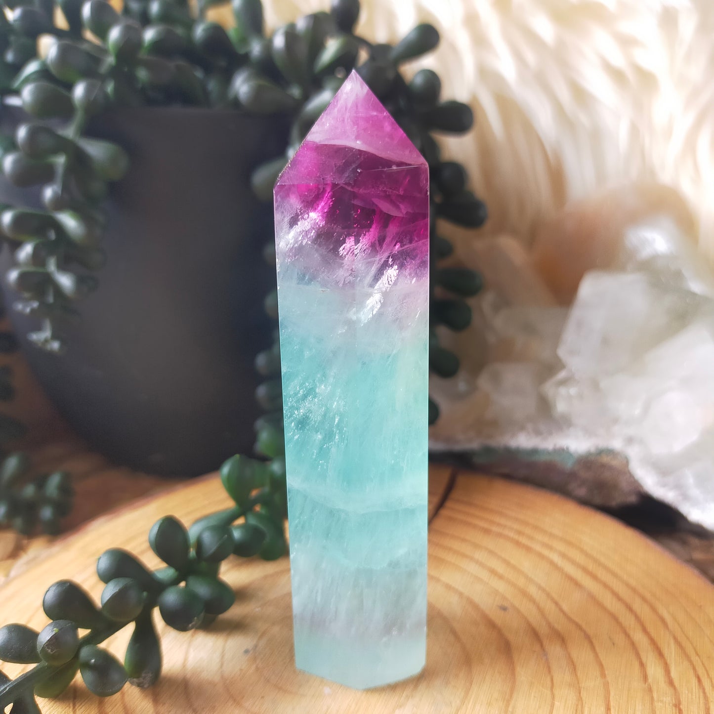 Watermelon Fluorite Points