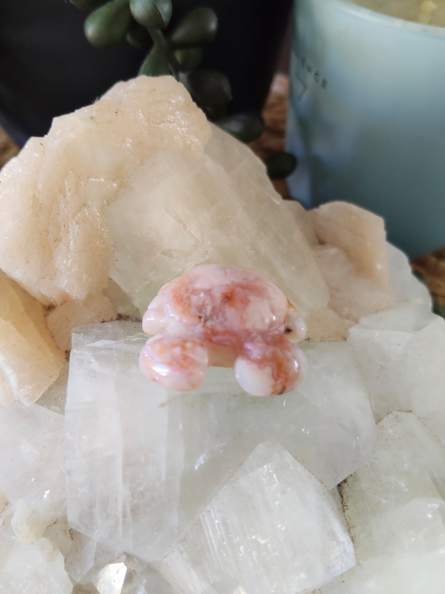 Small Crabs