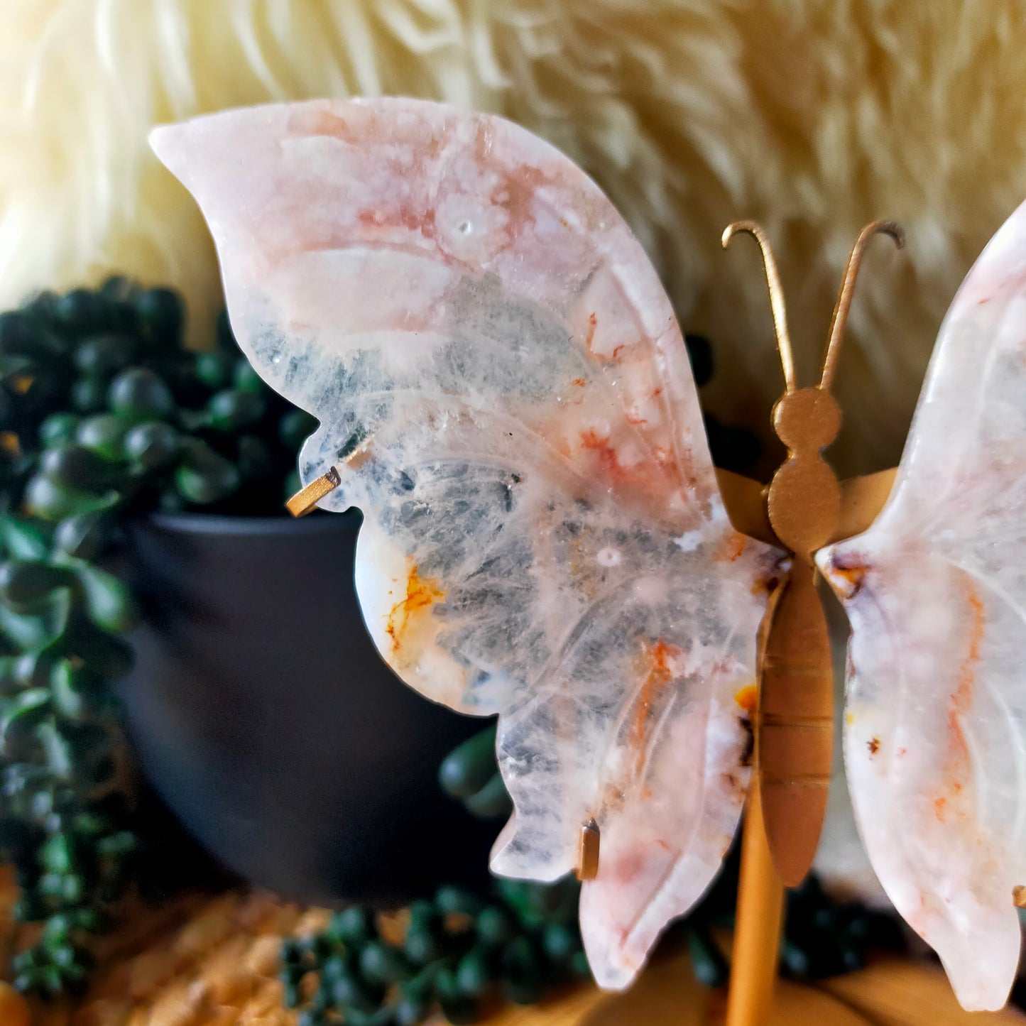 Flower Agate Butterfly Wings